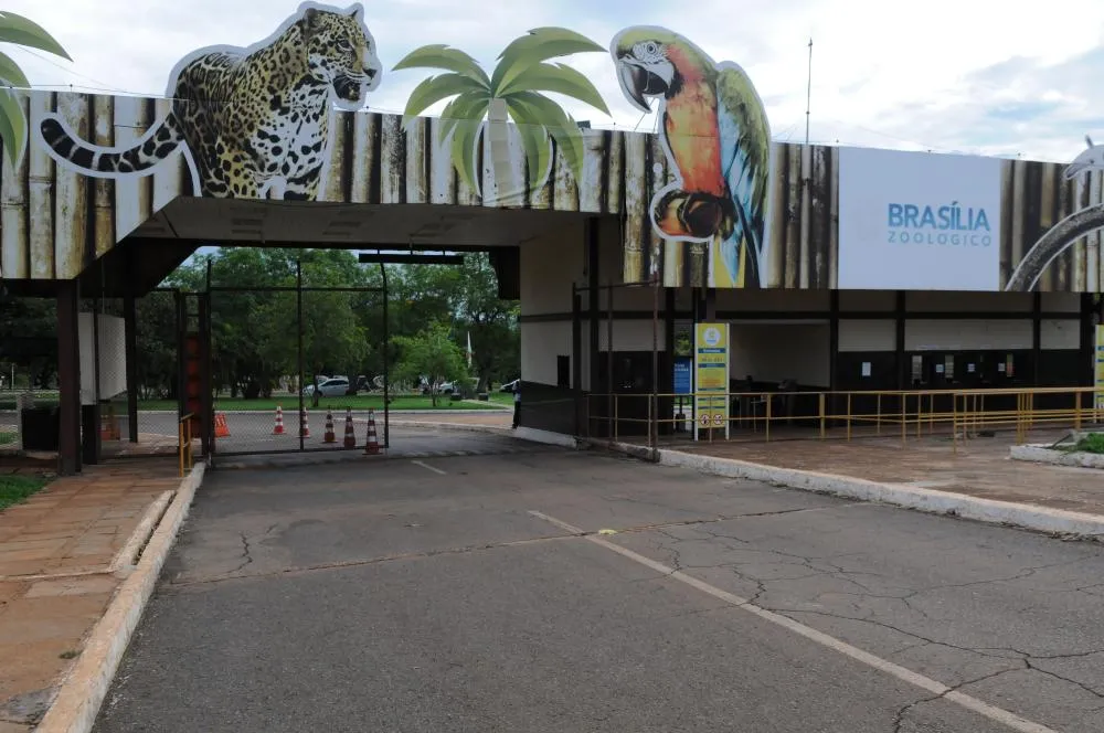 Zoológico de Brasília é Fechado por Suspeita de Gripe Aviária